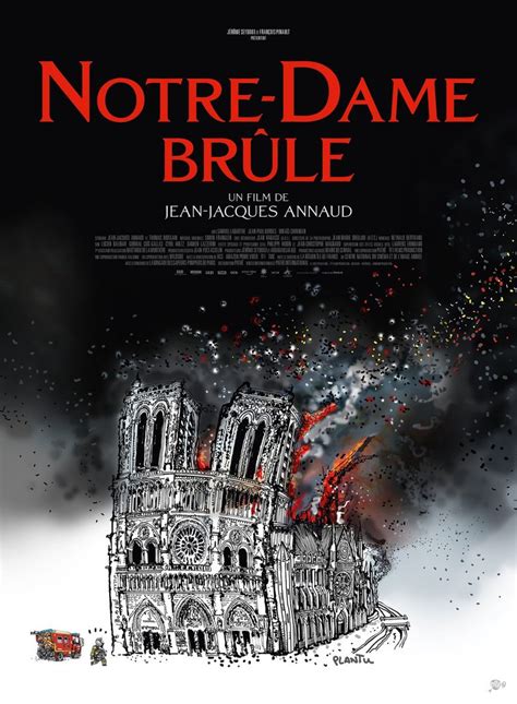 Notre Dame In Flammen Dvd Blu Ray K Uhd Oder Stream Videobuster