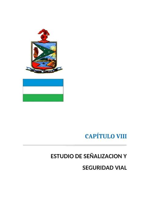 DOCX CAPITULO VIII Estudio de Señalización Vial DOKUMEN TIPS