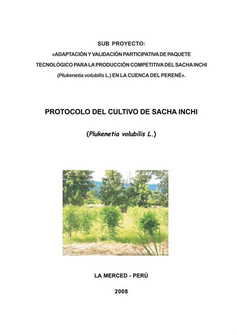 PDF PROTOCOLO DEL CULTIVO DE SACHA INCHI CLIENTES DEL SERVICIO