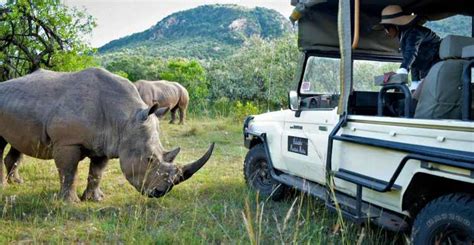 Dages Aberdare Samburu Luksussafari I X Jeep Getyourguide