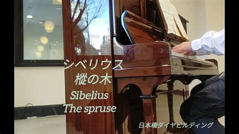 【樅の木】シベリウス The Spruce Sibelius 日本橋ダイヤビルディング ストリートピアノ 202432 Youtube