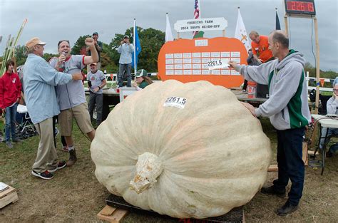 Will Warren Pumpkins Squash World Record Todays The Day Eastbayri