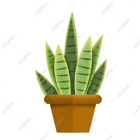 House Plant Clipart Hd Png Sansevieria Green House Plant Sansevieria