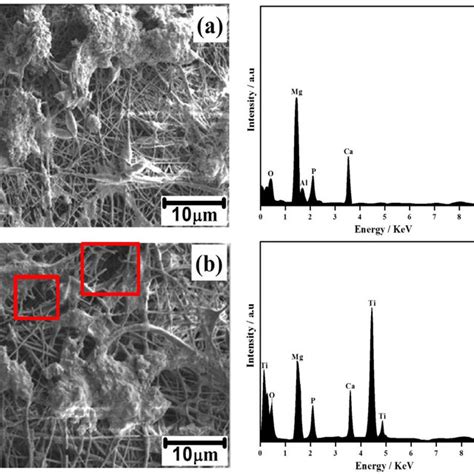 Xrd Spectra Of A Pcl And B Pcl6 Wt Tio 2 Electrospun Am50 Alloy