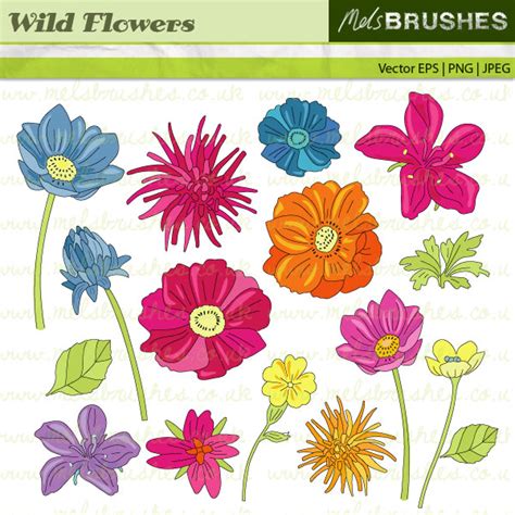 Wildflowers clipart 19 free Cliparts | Download images on Clipground 2025