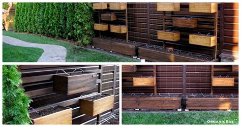Organic Box - Home | Facebook