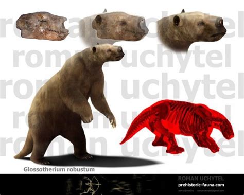 Glossotherium - Alchetron, The Free Social Encyclopedia