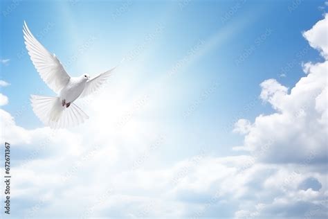 sky funeral background with white dove, copy space for text Stock ...