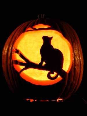 27 Great Pumpkin Carving Ideas The Funny Beaver Cose Di Halloween