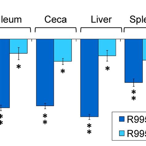 Schematic Representation Of Salmonella Pathogenicity Island 19 In S Download Scientific