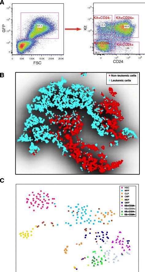 Distributed Stochastic Neighbor Embedding T Sne Analysis Of Facs And