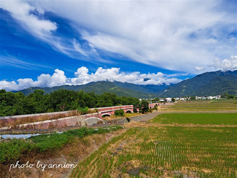 台東景點│二層坪水橋：美不勝收的波斯菊花海風情 台東旅行趣