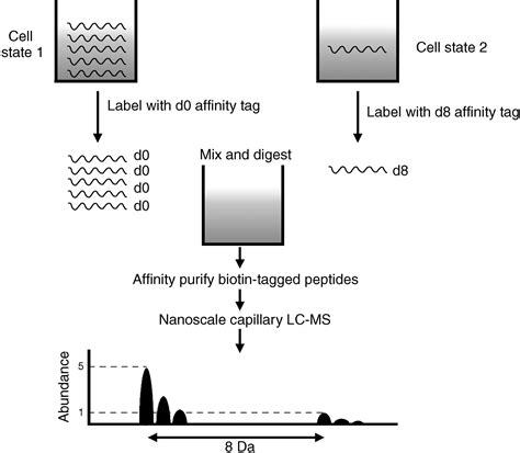 Ii Proteomics Core Technologies And Applications In Physiology