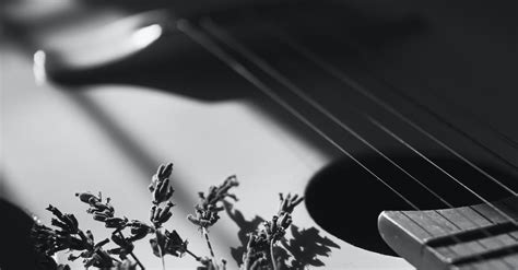 Flowers on an Acoustic Guitar · Free Stock Photo