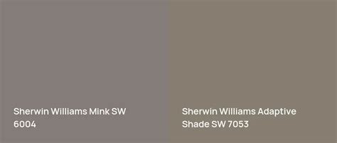 Sherwin Williams Mink Sw Real Home Pictures