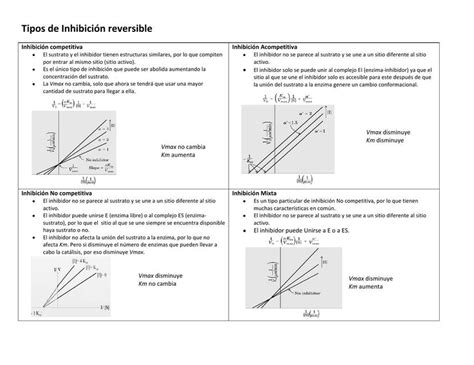 Gráficas de Inhibición Enzimática Rebeca Hinojosa uDocz