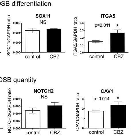 Real Time Rt Pcr For Mrna Levels Of Cabozantinib Regulated Genes