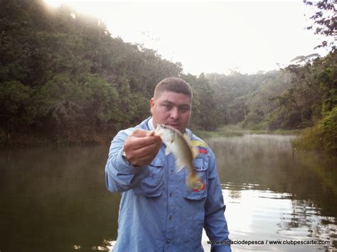 Espacio De Pesca Pesca De Black Bass Y Mojarra En La Represa Playas