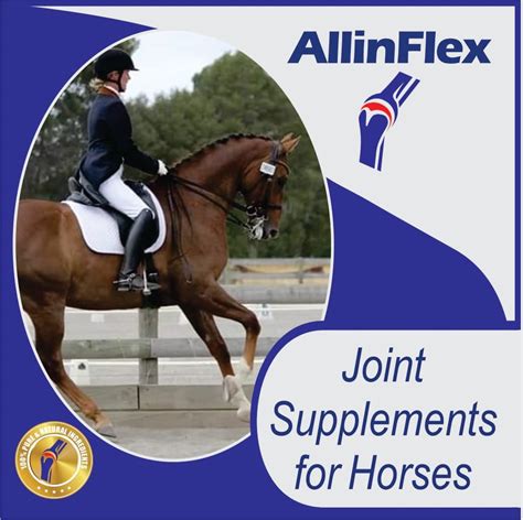 Best Equine Joint Supplements For Nz Horses Joint Supplements For