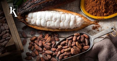 Producción de cacao en Ecuador fue declarada como actividad de interés