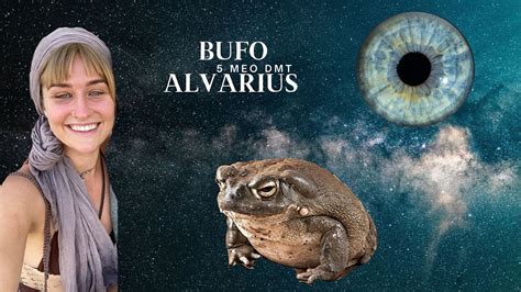 My Life Changing Experience With Bufo Alvarius Meo Dmt Youtube