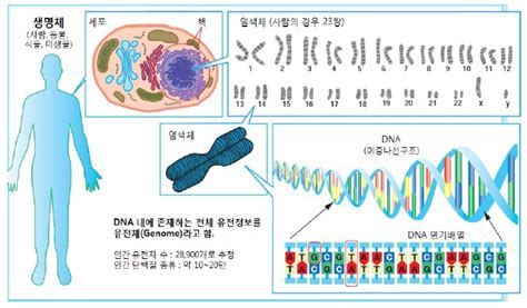 이미지 자료글로벌 유전체 시장 및 산업동향2014생명공학정책연구센터