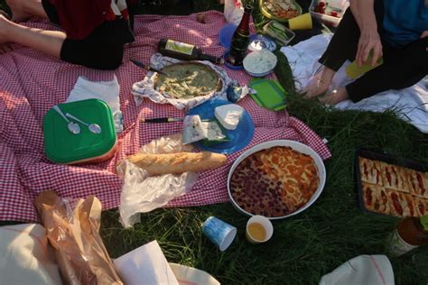 Sommer Picknick Francophonie Dresden E V