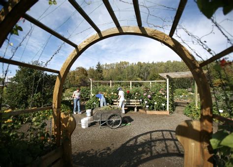 This Garden In Interior Alaska Showcases Stunning Subarctic Flowers