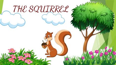 Poem The Squirrel Question Answers Youtube