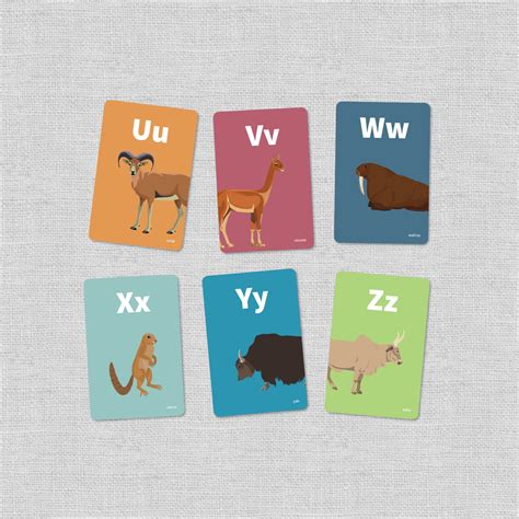 Animal Alphabet Flashcards Mammals From Around The World Abcs Animal