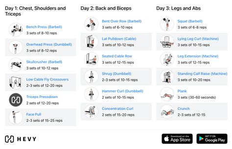 Daily Workout Routine For Upper Body Beginners - Infoupdate.org