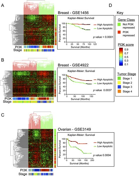 An E2F1-Dependent Gene Expression Program that Determines the Balance ... 