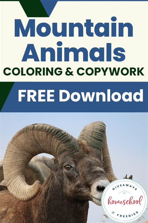 36-Page FREE Mountain Animals Facts Coloring and Copywork