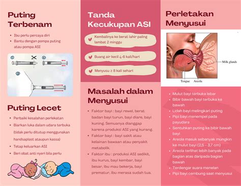 Leaflet Asi Eksklusif Dan Cara Menyusui Hosted At Imgbb Imgbb