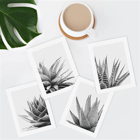 PixonSign Frameless Wall Art Black White Snake Plant Agave Cactus