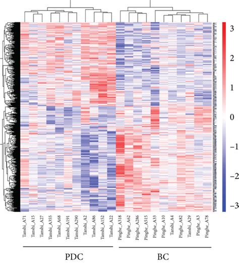 The Hierarchical Clustering Heatmaps And Volcano Plots Of Download Scientific Diagram