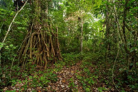 Alas Purwo National Park Travel Guide in East Java