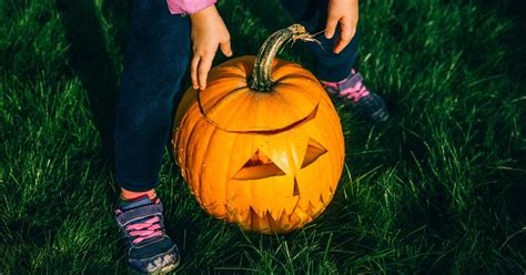 How To Reuse Your Halloween Pumpkin To Nurture Your Garden Huffpost