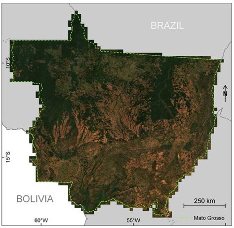 Remote Sensing Free Full Text Mapping Tropical Forest Cover And