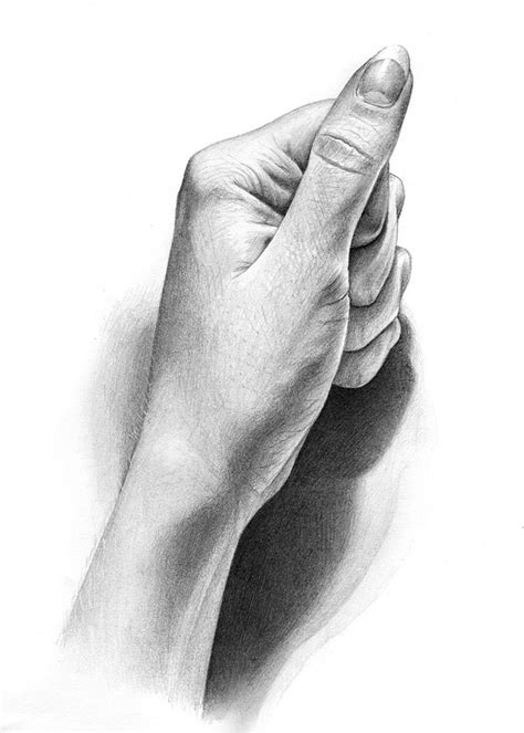 Pin by Alicia G on Inspiration Drawings | How to draw hands, Still life ...