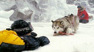 The Bloody Red Carpet: Eight Below - Movie Review