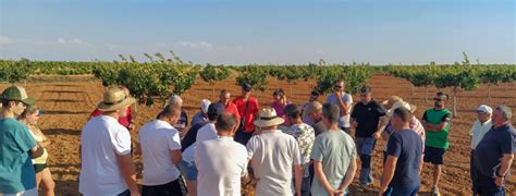 Productores De Pistacho De La Provincia Se Forman En Madridejos Con Un