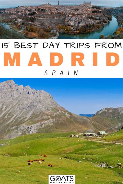 Best Day Trips From Madrid Spain Goats On The Road