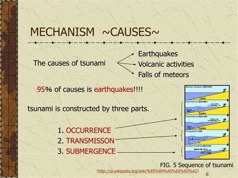 PPT - TSUNAMI PowerPoint Presentation, free download - ID:3838529