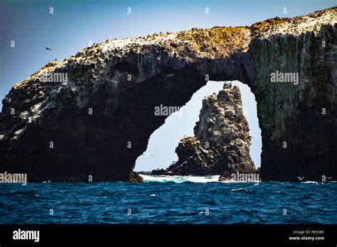 Arch Rock On Anacapa Island In The Channel Islands National Park In