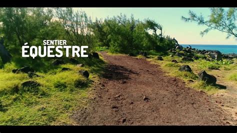 Trésor du Sud Le Gouffre de lÉtang Salé les Bains Île de la Réunion