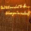 Don T Tell Me What To Do Unless You Re Naked Led Neon Word Sign
