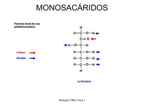 Tema Los Glucidos Ppt