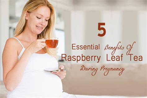 Health Benefits Of Drinking Raspberry Leaf Tea In Pregnancy