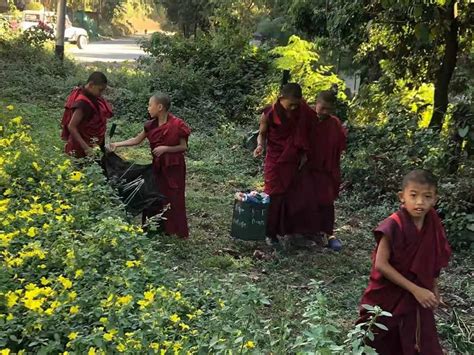 Mass Cleaning Campaign to observe the “Zero Waste Hour” | ROYAL ...